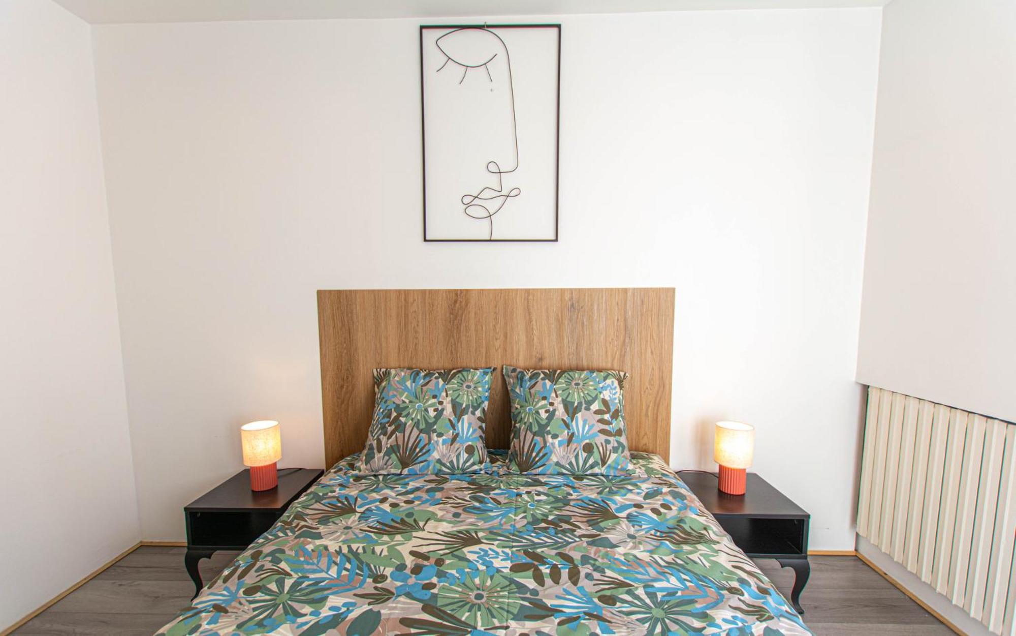 Appartement T3 Gare De Chambery Centre Ville Buitenkant foto